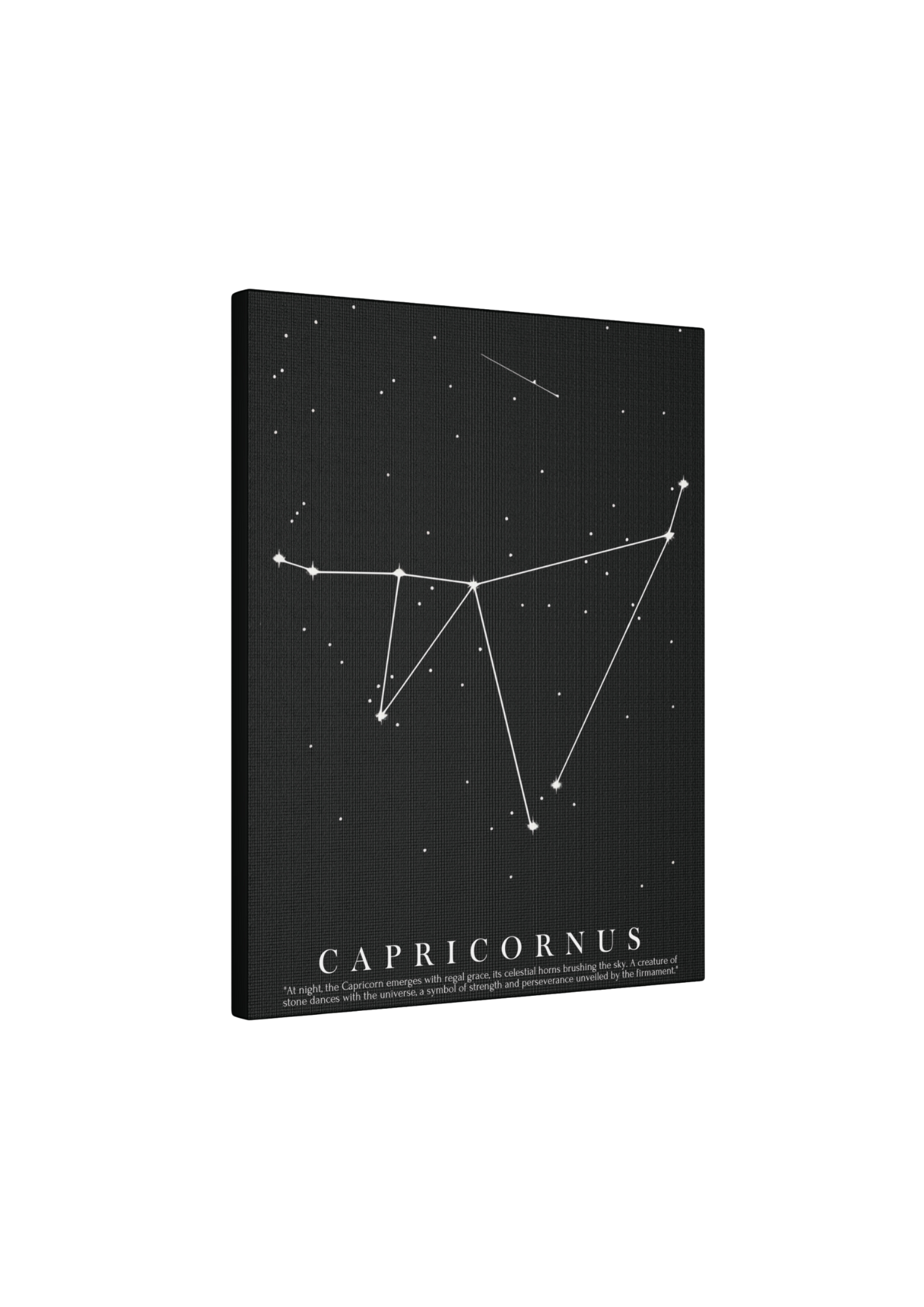 Quadro Costellazione "Capricornus" su tela Canvas